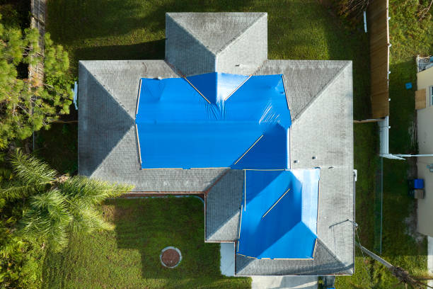 Best Roof Moss and Algae Removal  in Lincoln Heights, OH